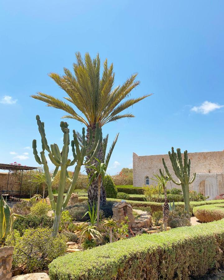 Maison Mimosa, Lovely 3 Bedroom Villa With A Large Pool Essaouira Ngoại thất bức ảnh