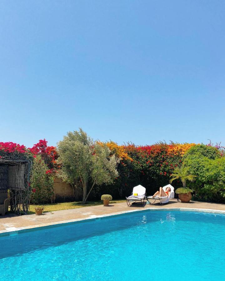 Maison Mimosa, Lovely 3 Bedroom Villa With A Large Pool Essaouira Ngoại thất bức ảnh