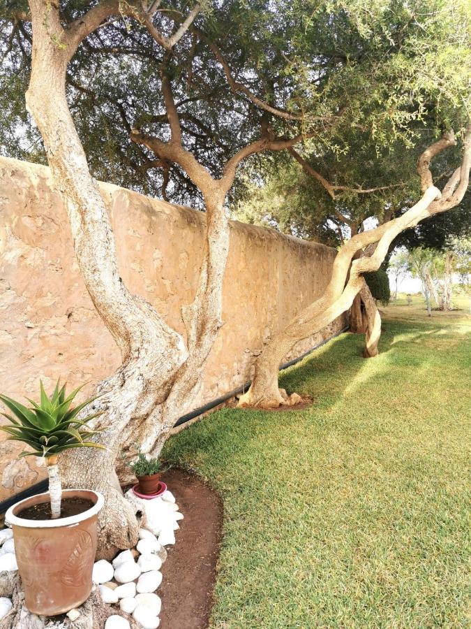 Maison Mimosa, Lovely 3 Bedroom Villa With A Large Pool Essaouira Ngoại thất bức ảnh