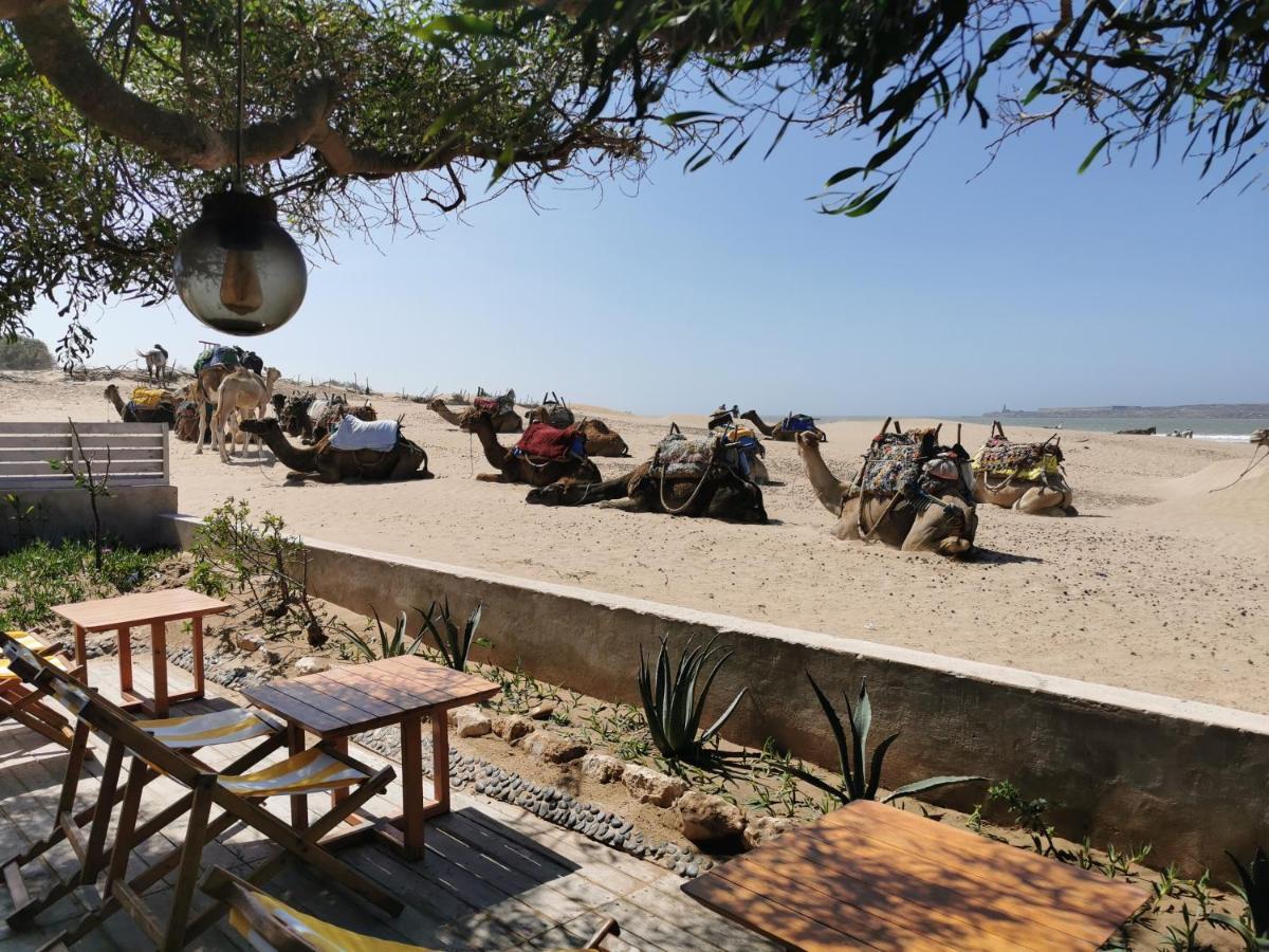 Maison Mimosa, Lovely 3 Bedroom Villa With A Large Pool Essaouira Ngoại thất bức ảnh